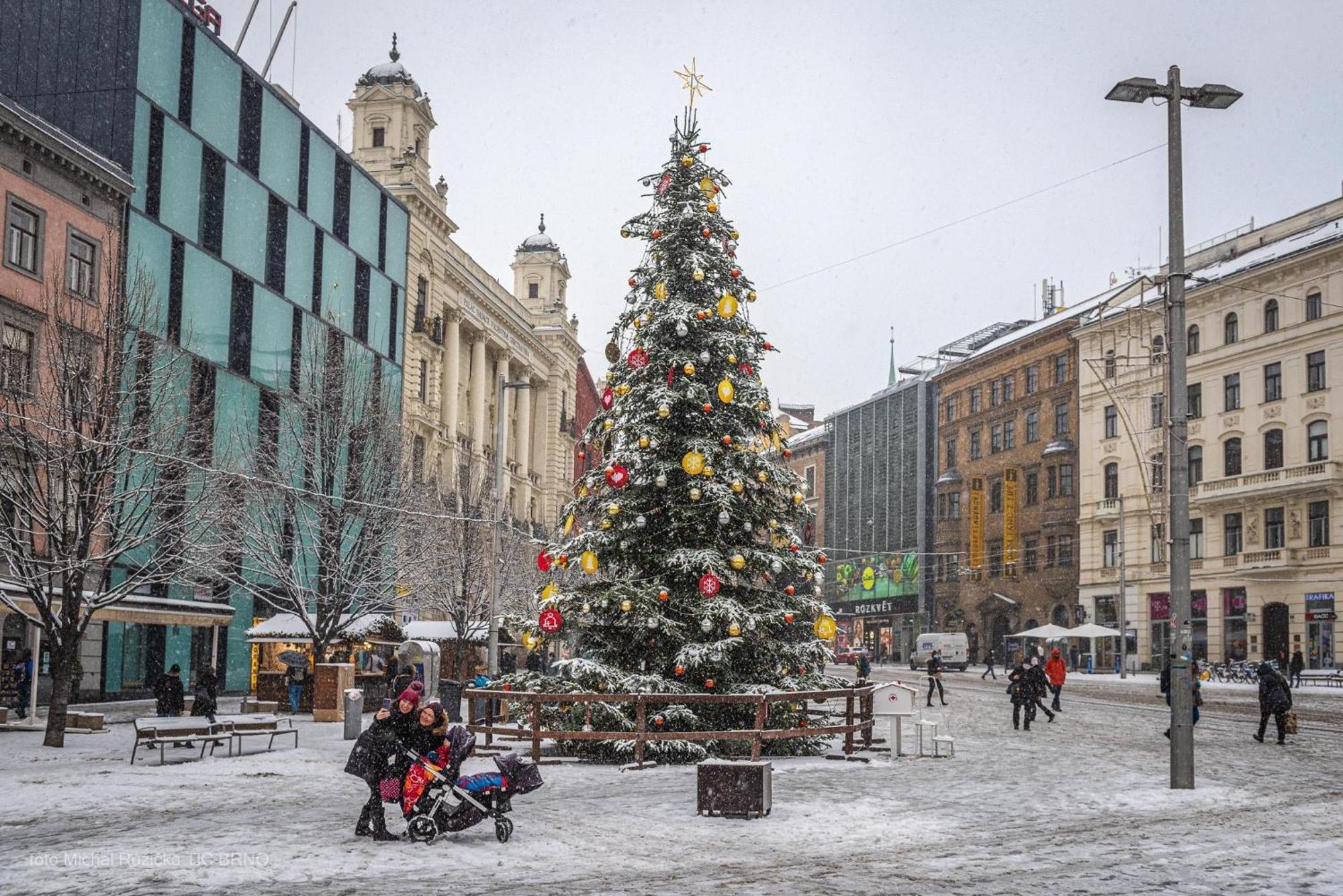 Brno - Apartman V Bohemske Ctvrti Kamenka Exteriér fotografie